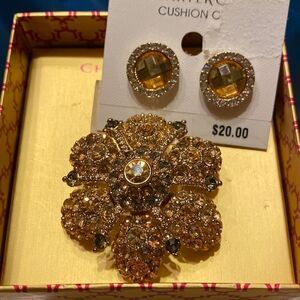 Charter Club Clip Earrings & Brooch